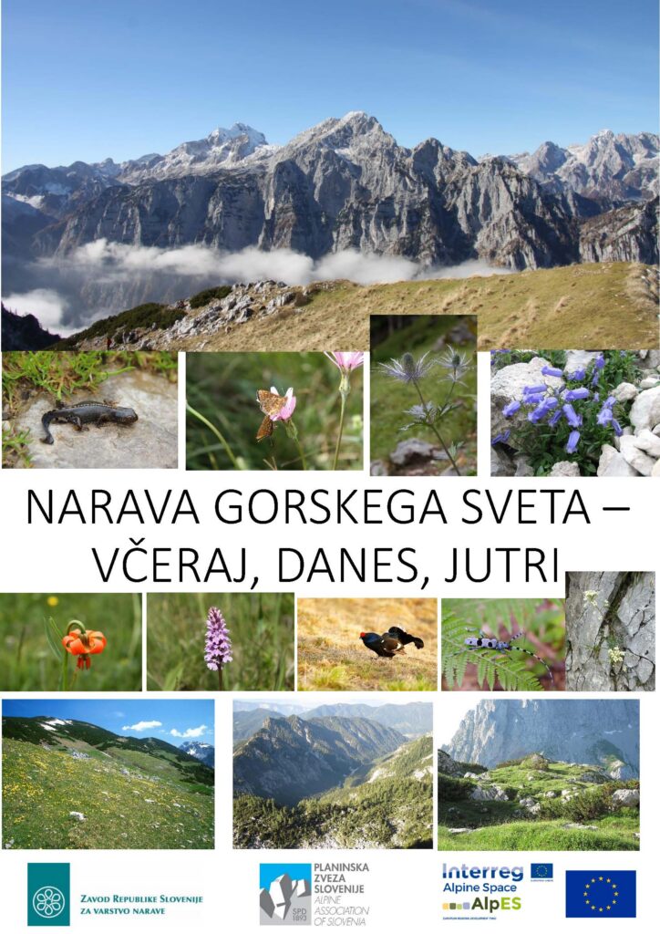 Vabilo na razstavo